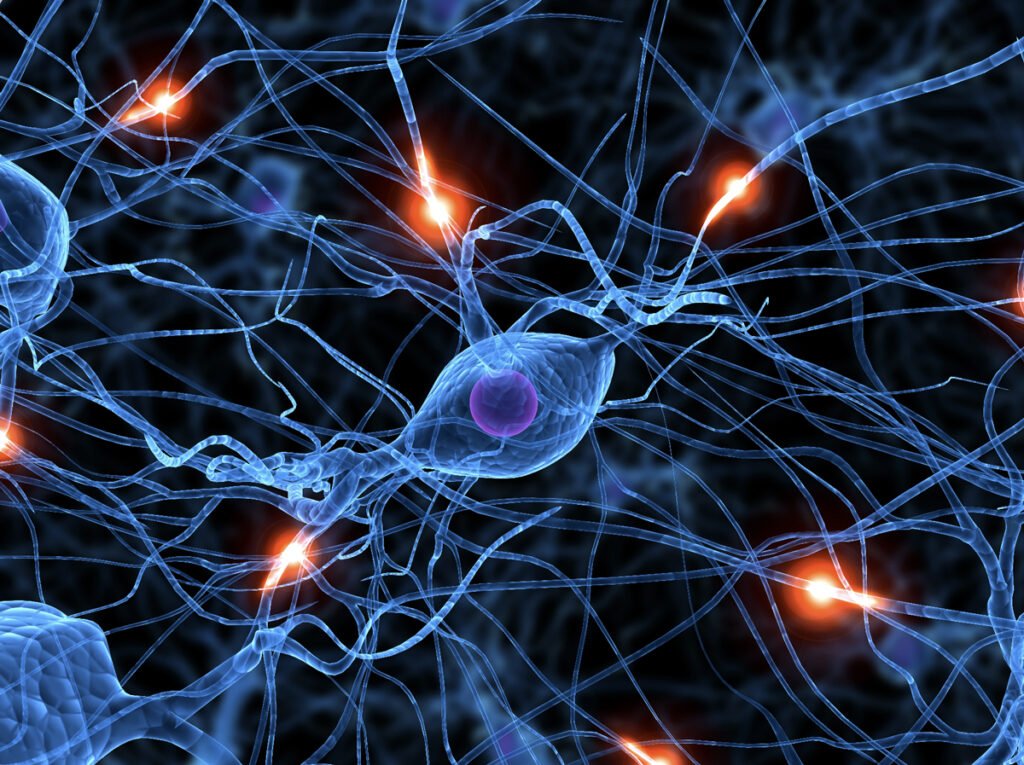 Hipótesis sobre el Autismo y el Entorno Moderno